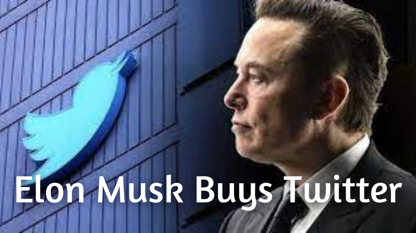Elon Musk Buys Twitter Best Term Insurance Plan in India