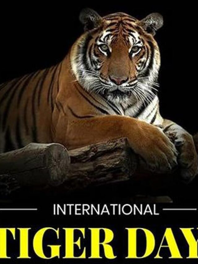 International Tiger Day 2022: Unique facts about tigers